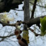 kleiner Spaziergang am Blauen See Lehrte