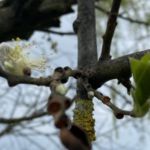 kleiner Spaziergang am Blauen See Lehrte
