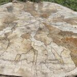 kleiner Spaziergang am Blauen See Lehrte