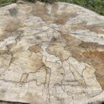 kleiner Spaziergang am Blauen See Lehrte